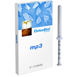 mp3