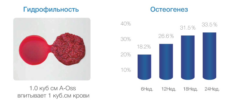 Гидрофильность для успешного остеогенеза