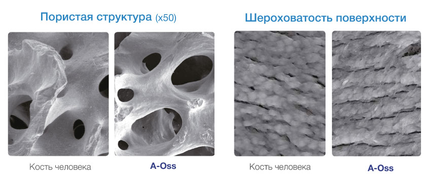 Пористая структура для эффективного остеогенеза